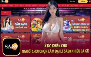 Lý Do Khiến Cho Người Chơi Chọn Làm Đại Lý Sa88 Nhiều Là Gì?